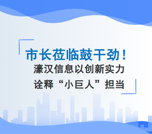 2025年11月16日，南通市市长张彤、副市长凌屹、通州区区长吴瑕一行莅临国家级专精特新重点&ldquo;小巨人&rdquo;企业&mdash;&mdash;江苏濠汉信息技术有限公司专题调研，实地考察企业的科创成果与发展活力。濠汉信息董事长兼党支部书记李学钧全程陪同，向张彤市长及各位领导详细汇报了企业发展状况。...