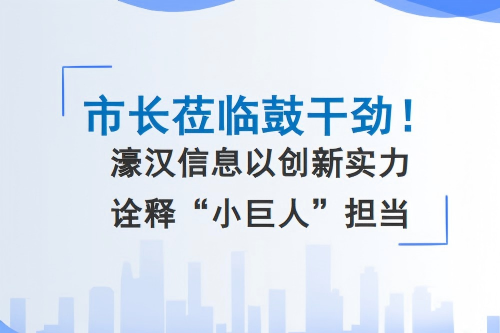 2025年11月16日，南通市市长张彤、副市长凌屹、通州区区长吴瑕一行莅临国家级专精特新重点&ldquo;小巨人&rdquo;企业&mdash;&mdash;江苏濠汉信息技术有限公司专题调研，实地考察企业的科创成果与发展活力。濠汉信息董事长兼党支部书记李学钧全程陪同，向张彤市长及各位领导详细汇报了企业发展状况。...